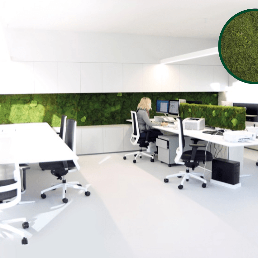 Panneau Déco Mousse Plane - Pando