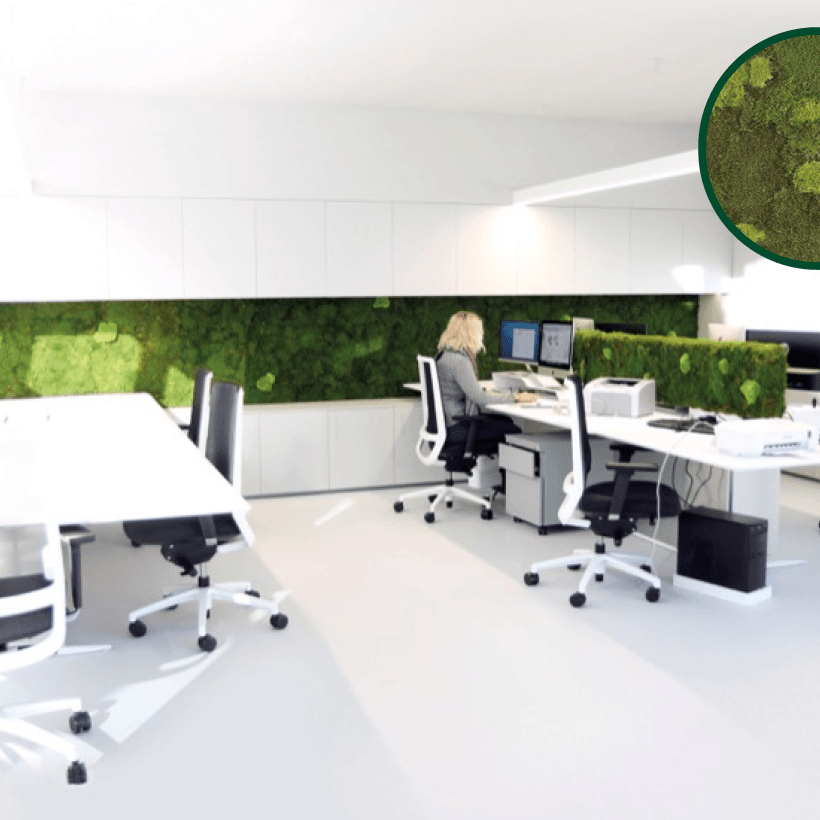 Panneau Déco Mousse Boule - Pando