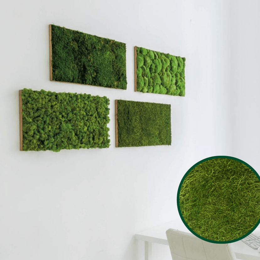 Tuiles Décorative Herbe - Pando