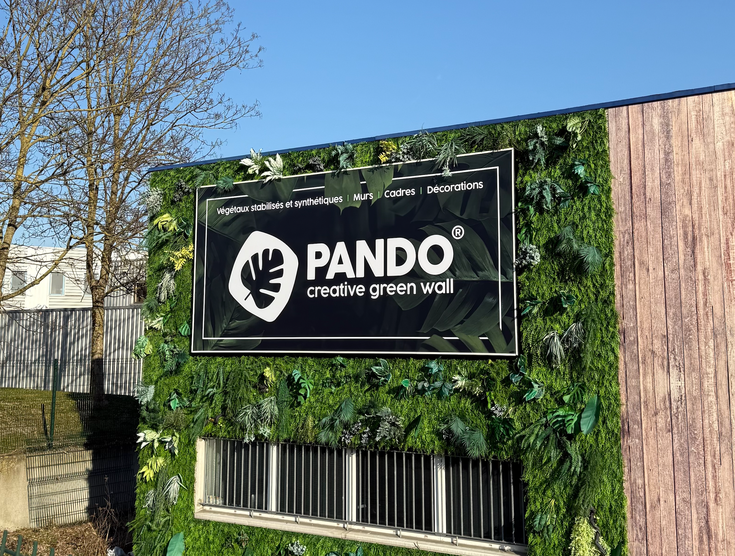 Photographie du mur extérieur de Pando avec mur végétal synthétique