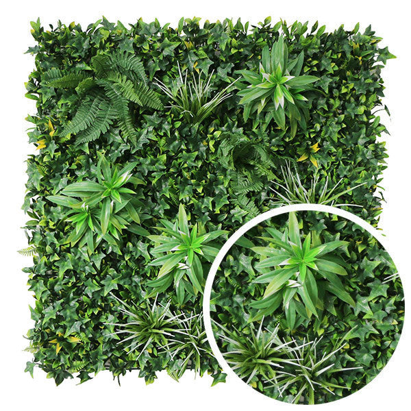 Mur végétal Exotic