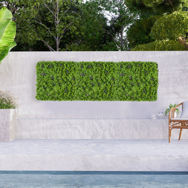 Mur végétal Liane