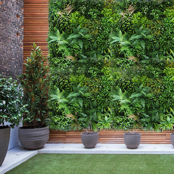 Oxygen Green Wall