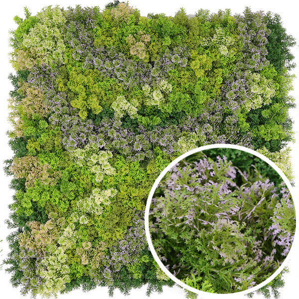 Mur végétal Mousse - Pando